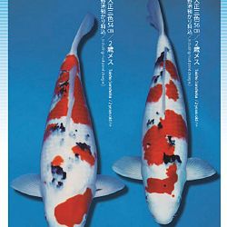 3de Narita veiling: afbeelding 17