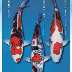 3de Narita veiling: afbeelding 22