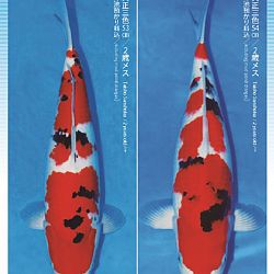 3de Narita veiling: afbeelding 24
