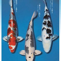 3de Narita veiling: afbeelding 25