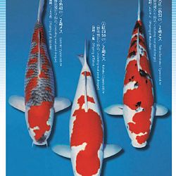 3de Narita veiling: afbeelding 28
