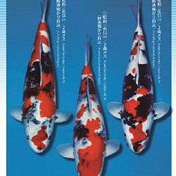 3de Narita veiling: afbeelding 30
