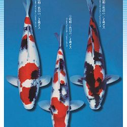 3de Narita veiling: afbeelding 33