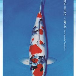 3de Narita veiling: afbeelding 36