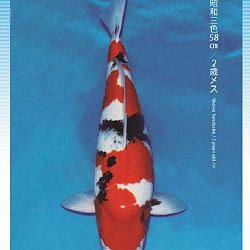 3de Narita veiling: afbeelding 37