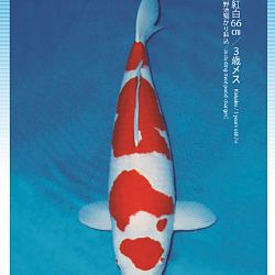 3de Narita veiling: afbeelding 40