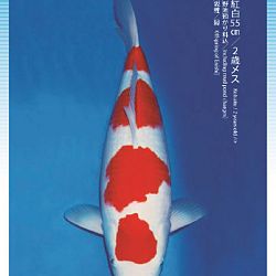 3de Narita veiling: afbeelding 42