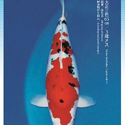 3de Narita veiling: afbeelding 45