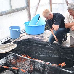 Achterstallige informatie deel 2: afbeelding 1
