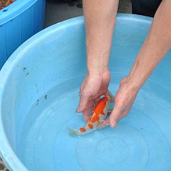 Achterstallige informatie deel 2: afbeelding 4