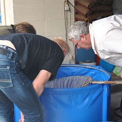 Achterstallige informatie deel 2: afbeelding 10