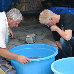 Achterstallige informatie deel 2: afbeelding 11