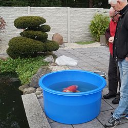 Afscheid van een monument: afbeelding 4