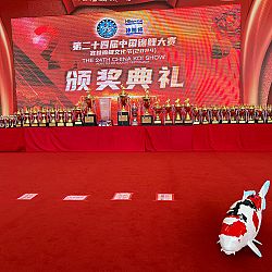All China Koishow: afbeelding 7
