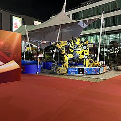 All China Koishow: afbeelding 12