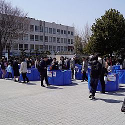 All Japan Young Koi Show en Himeji Castle: afbeelding 3
