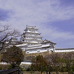 All Japan Young Koi Show en Himeji Castle: afbeelding 6
