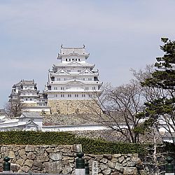 All Japan Young Koi Show en Himeji Castle: afbeelding 8