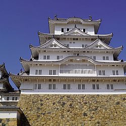 All Japan Young Koi Show en Himeji Castle: afbeelding 9