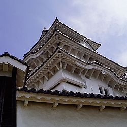 All Japan Young Koi Show en Himeji Castle: afbeelding 10