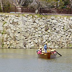 All Japan Young Koi Show en Himeji Castle: afbeelding 15