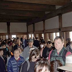 All Japan Young Koi Show en Himeji Castle: afbeelding 22