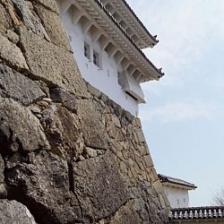 All Japan Young Koi Show en Himeji Castle: afbeelding 28
