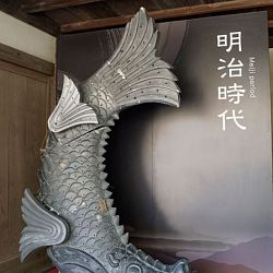 All Japan Young Koi Show en Himeji Castle: afbeelding 37