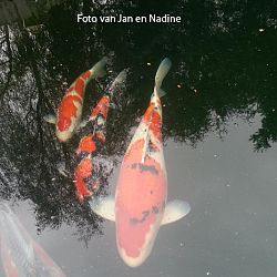 Alles is in gereedheid gebracht: afbeelding 6