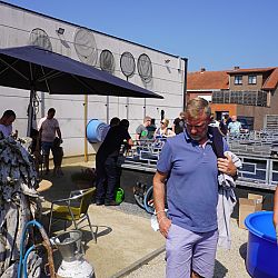 Alles liep in goede banen: afbeelding 9
