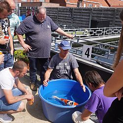 Alles liep in goede banen: afbeelding 21
