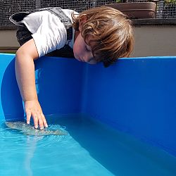 Alles liep in goede banen: afbeelding 1