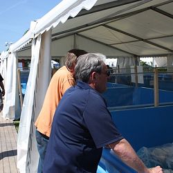 Appeltern 2011 De eerste dag: afbeelding 6