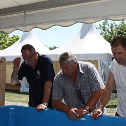 Appeltern 2011 De eerste dag: afbeelding 9