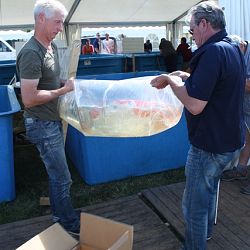 Appeltern 2011 De eerste dag: afbeelding 13