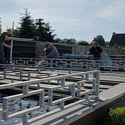 Appeltern dag 1: afbeelding 3