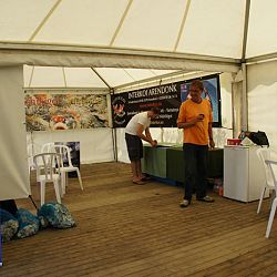 Appeltern dag 1: afbeelding 41