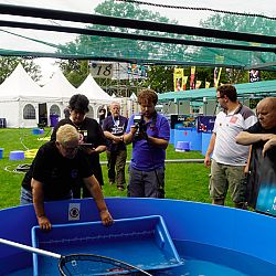 Arcen 2018 is een feit: afbeelding 5
