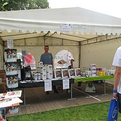Arcen op volle toeren: afbeelding 3