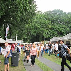 Arcen op volle toeren: afbeelding 4