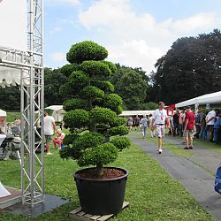 Arcen op volle toeren: afbeelding 7