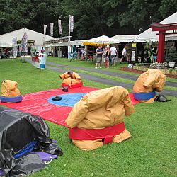 Arcen op volle toeren: afbeelding 9