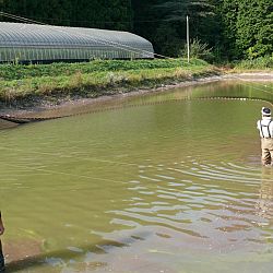 Azukari: Vertrouwen in de Japanse Meesterhand: afbeelding 5