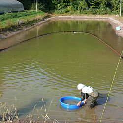 Azukari: Vertrouwen in de Japanse Meesterhand: afbeelding 6