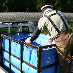 Azukari: Vertrouwen in de Japanse Meesterhand: afbeelding 18
