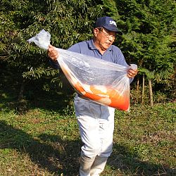 Azukari: Vertrouwen in de Japanse Meesterhand: afbeelding 24