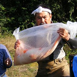 Azukari: Vertrouwen in de Japanse Meesterhand: afbeelding 25