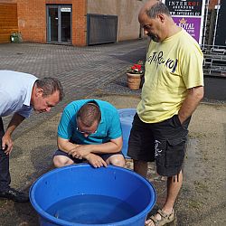 Beereke en Sandy op bezoek: afbeelding 1