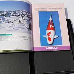Bekende boeken: afbeelding 4