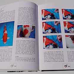 Bekende boeken: afbeelding 12